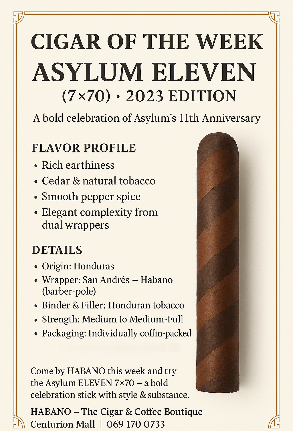ASYLUM ELEVEN (7X70) 2023